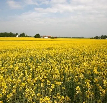 D'hotes Notre Paradis