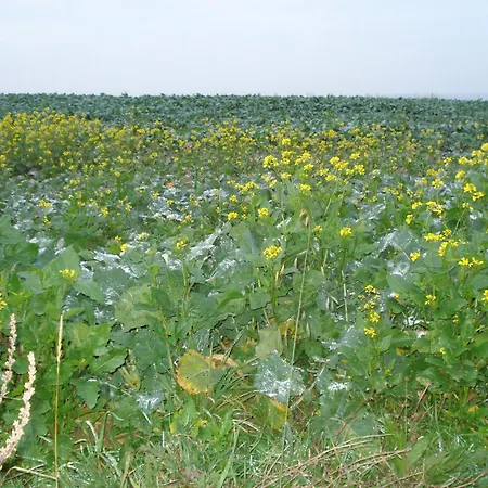 D'hotes Notre Paradis *