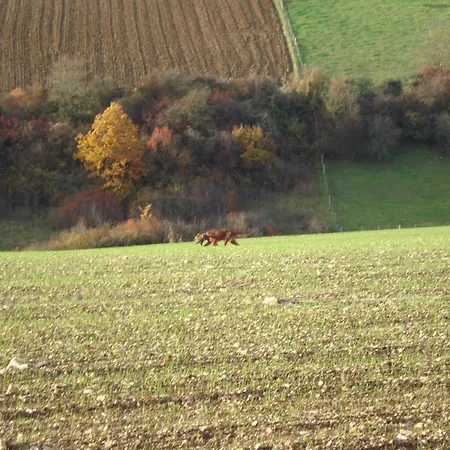 D'hotes Notre Paradis *