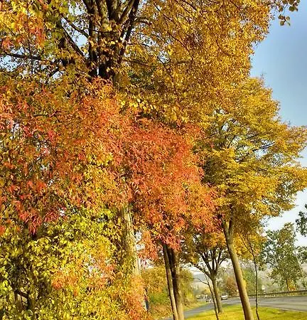 D'hotes Notre Paradis * Dun-sur-Meuse
