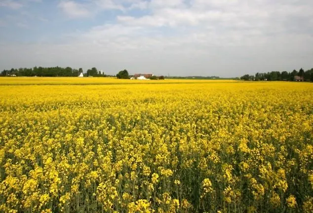 D'hotes Notre Paradis