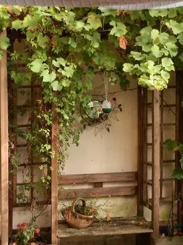 D'hotes Notre Paradis לינה וארוחת בוקר *