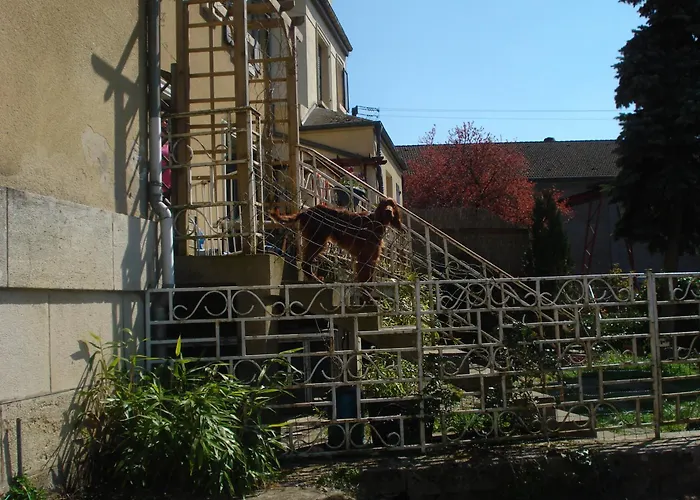 Bed & Breakfast D'hotes Notre Paradis