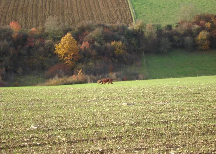 D'hotes Notre Paradis *