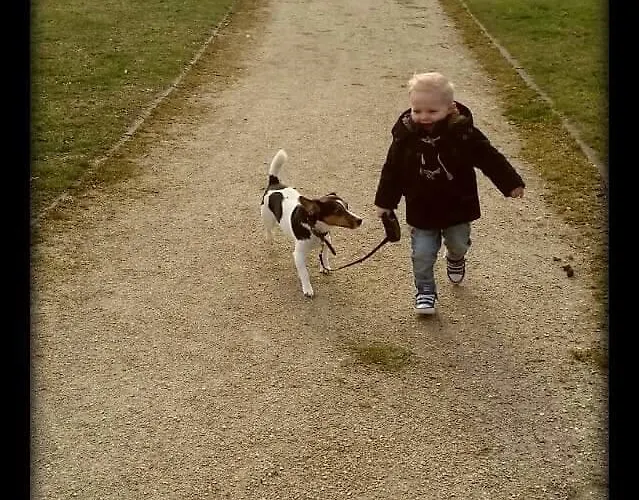 D'hotes Notre Paradis לינה וארוחת בוקר Dun-sur-Meuse