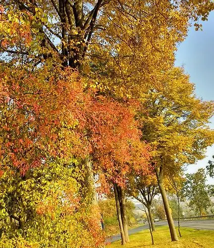 D'hotes Notre Paradis * Dun-sur-Meuse